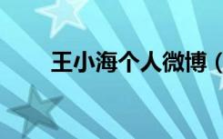 王小海个人微博（王小海个人资料）