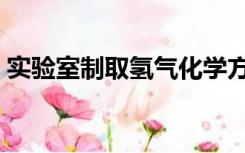 实验室制取氢气化学方程（实验室制取氢气）