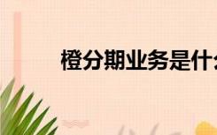 橙分期业务是什么意思（橙分期）