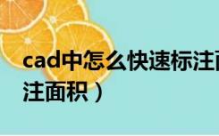 cad中怎么快速标注面积（cad中怎么快速标注面积）