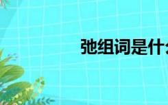 弛组词是什么（弛组词）