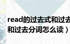 read的过去式和过去分词读法（read过去式和过去分词怎么读）