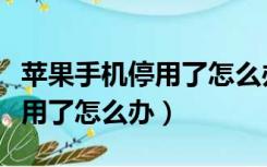 苹果手机停用了怎么办不用电脑（苹果手机停用了怎么办）