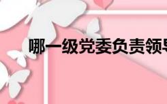 哪一级党委负责领导换届的民主推荐？