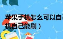 苹果手机怎么可以自己刷机（苹果手机怎么刷机自己能刷）