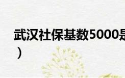 武汉社保基数5000是多少档（武汉社保基数）