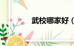 武校哪家好（武校哪家好）