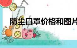 防尘口罩价格和图片（防尘口罩的种类）