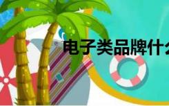 电子类品牌什么牌子比较好？