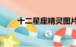 十二星座精灵图片（十二星座精灵）