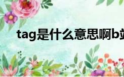 tag是什么意思啊b站（tag是什么意思）