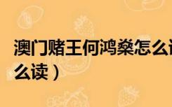 澳门赌王何鸿燊怎么读音（澳门赌王何鸿燊怎么读）