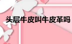 头层牛皮叫牛皮革吗（头层牛皮叫牛皮革）