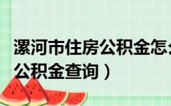 漯河市住房公积金怎么计算额度（漯河市住房公积金查询）
