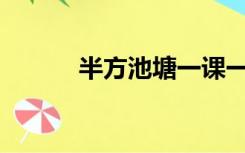 半方池塘一课一课是什么意思？