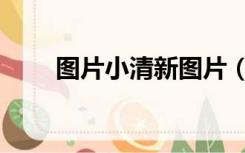 图片小清新图片（图片小清新动漫）