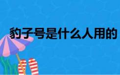 豹子号是什么人用的（豹子号是什么意思）