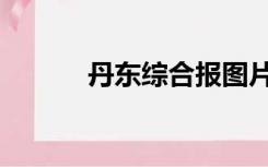 丹东综合报图片（丹东综合报）
