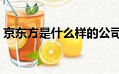 京东方是什么样的公司（京东方是什么企业）