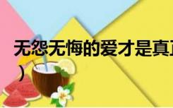 无怨无悔的爱才是真正的爱（无怨无悔跟主走）