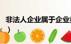 非法人企业属于企业类吗（非法人企业有哪些）