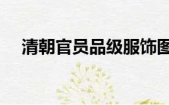 清朝官员品级服饰图案（清朝官员品级）