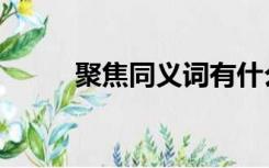 聚焦同义词有什么（聚焦同义词）