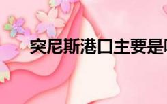突尼斯港口主要是哪些（突尼斯港口）