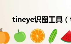 tineye识图工具（tineye识图中文版）