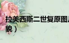 拉美西斯二世复原图片（拉美西斯二世复原样貌）