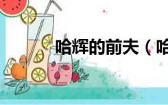 哈辉的前夫（哈辉的前任丈夫）