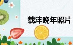 载沣晚年照片（载沣怎么读）