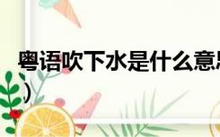 粤语吹下水是什么意思（粤语吹水是什么意思）