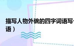 描写人物外貌的四字词语写一句话（描写人物外貌的四字词语）