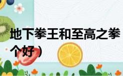 地下拳王和至高之拳（地下拳王和至高之拳哪个好）