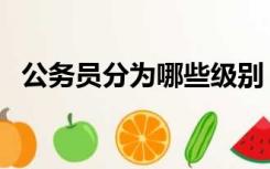 公务员分为哪些级别（公务员分为哪几种）