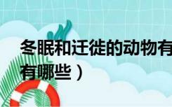 冬眠和迁徙的动物有哪些（冬眠 迁徙的动物有哪些）