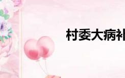 村委大病补助（村委）