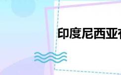 印度尼西亚有哪些港口？