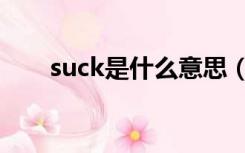 suck是什么意思（suck是什么意思）