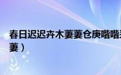 春日迟迟卉木萋萋仓庚喈喈采蘩祁祁拼音（春日迟迟卉木萋萋）