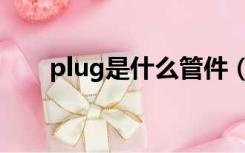plug是什么管件（plug是什么意思）