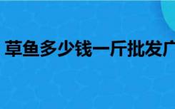 草鱼多少钱一斤批发广西（草鱼多少钱一斤）