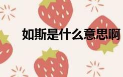 如斯是什么意思啊（如斯是什么意思）