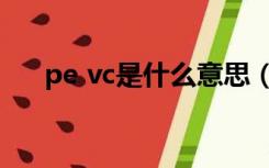 pe vc是什么意思（pe vc是什么意思）