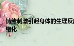 情绪刺激引起身体的生理反应生理反应又进一步导致情绪情绪化