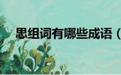 思组词有哪些成语（思组词有哪些词语）