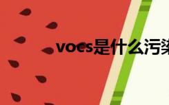 vocs是什么污染物（voc测试）