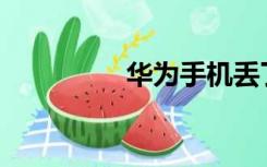 华为手机丢了如何定位？