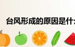台风形成的原因是什么（台风形成的原因）